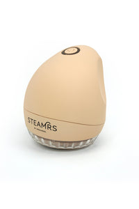 Rasoir électrique - Sable - STEAMRS